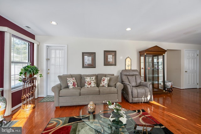 living room with wood-type flooring