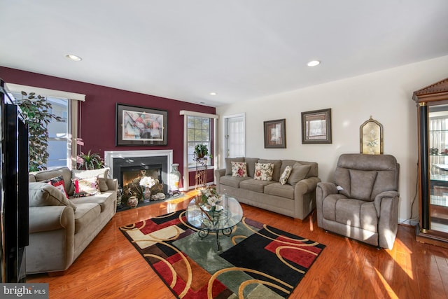 living room featuring hardwood / wood-style floors