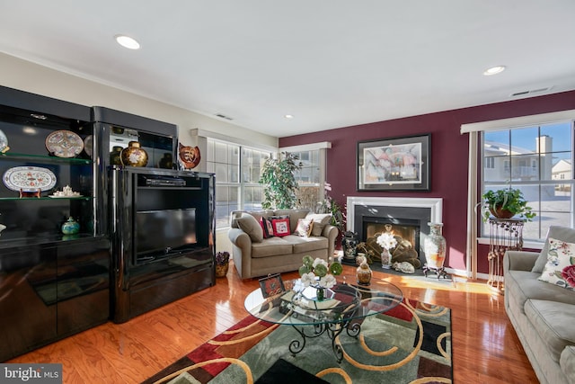 living room featuring hardwood / wood-style flooring