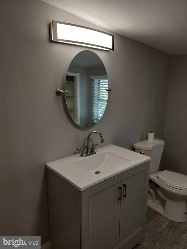 bathroom with vanity, hardwood / wood-style floors, and toilet