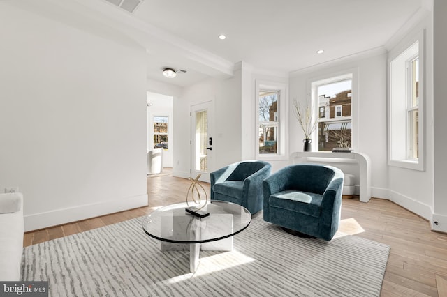 living room featuring light wood-type flooring and a healthy amount of sunlight