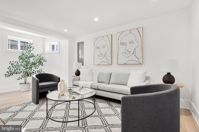 living room with electric panel and light hardwood / wood-style flooring