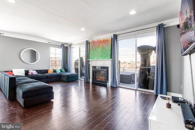 living room featuring dark wood-type flooring and ornamental molding