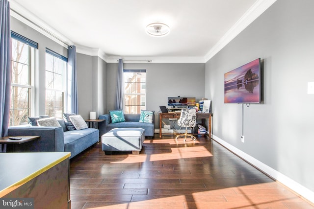 living room with dark hardwood / wood-style floors, crown molding, and a healthy amount of sunlight