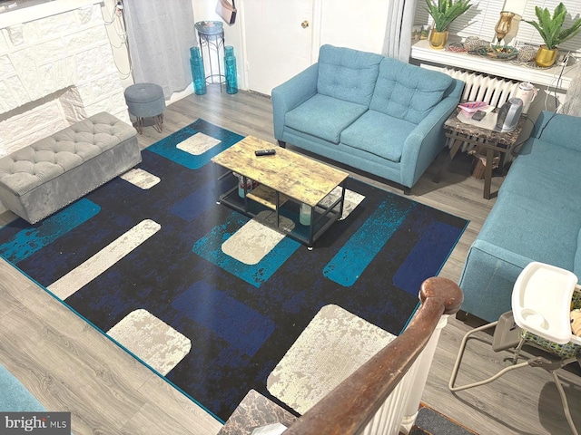 living room featuring hardwood / wood-style floors