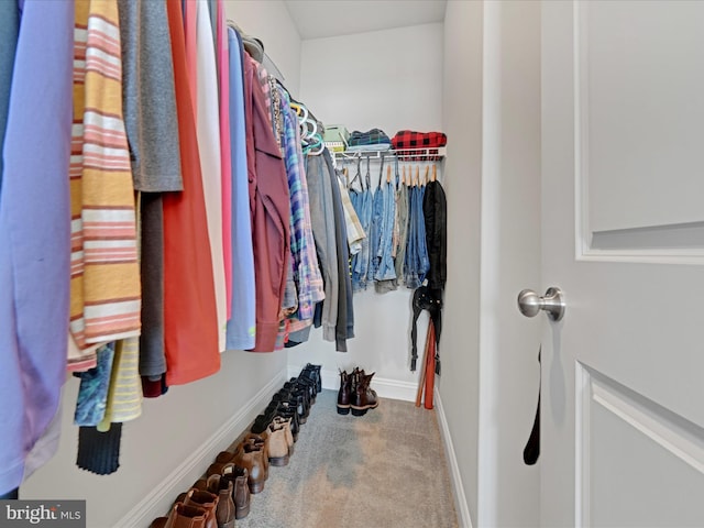 walk in closet with carpet flooring