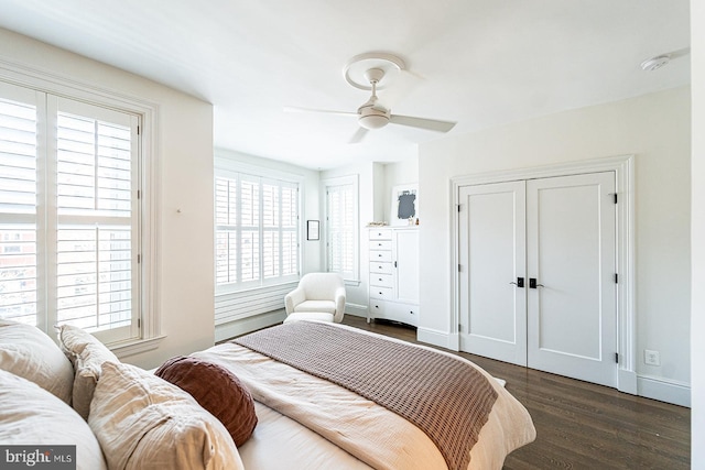 bedroom with ceiling fan and dark hardwood / wood-style flooring