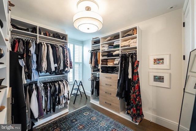 walk in closet with dark hardwood / wood-style floors