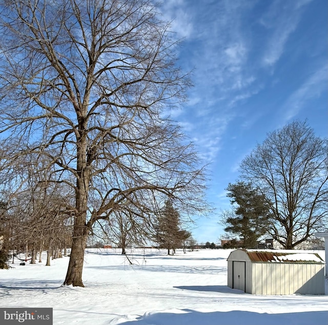 yard covered in snow with an outbuilding