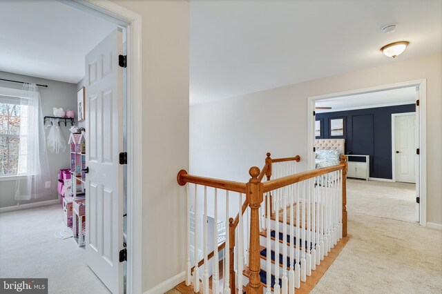 hallway with carpet