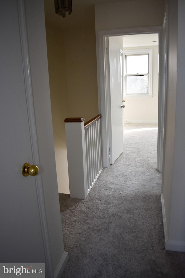 corridor with carpet flooring