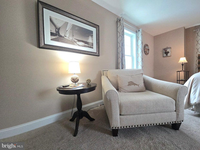 sitting room featuring carpet flooring