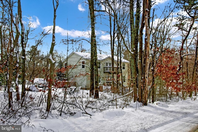 view of snowy yard