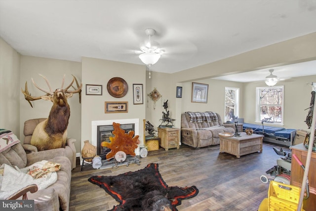 living room featuring ceiling fan and dark hardwood / wood-style flooring