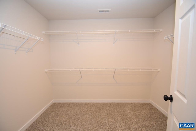 walk in closet with carpet floors