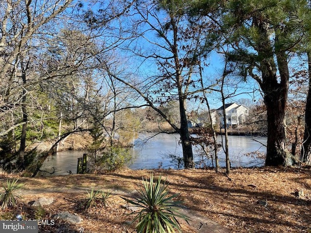 view of water feature