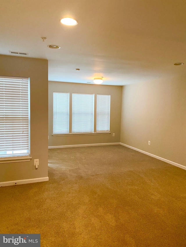 unfurnished room with carpet and a wealth of natural light