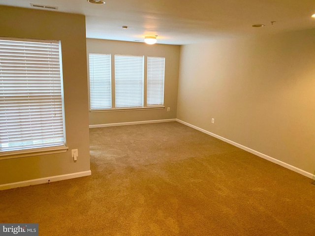 carpeted empty room featuring a wealth of natural light