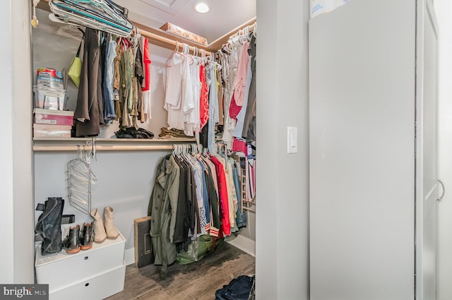 walk in closet featuring wood finished floors