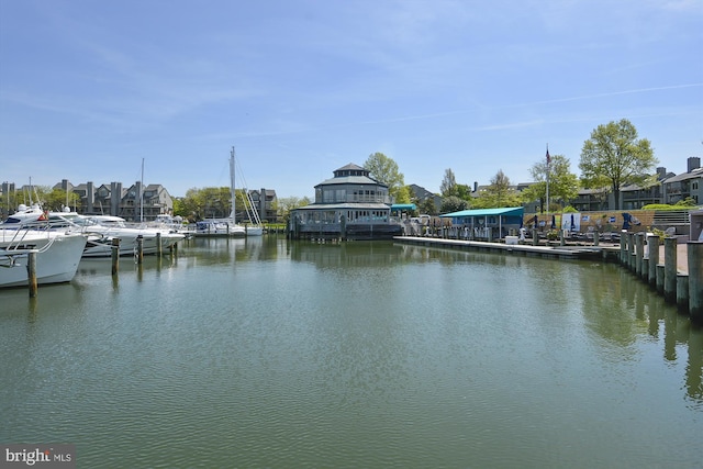 dock area with a water view