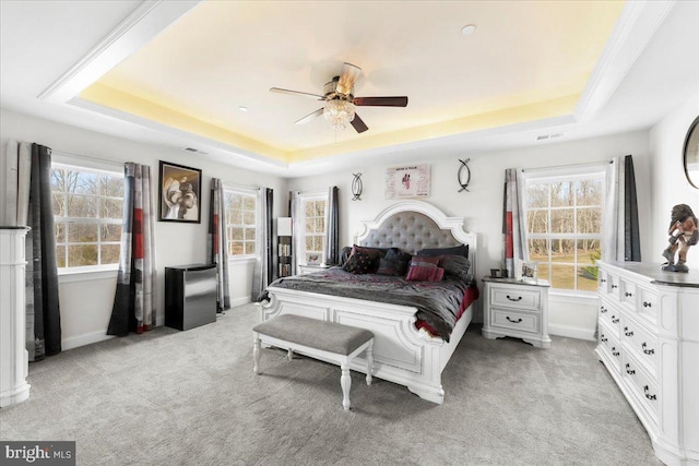 bedroom featuring multiple windows, a tray ceiling, and light carpet