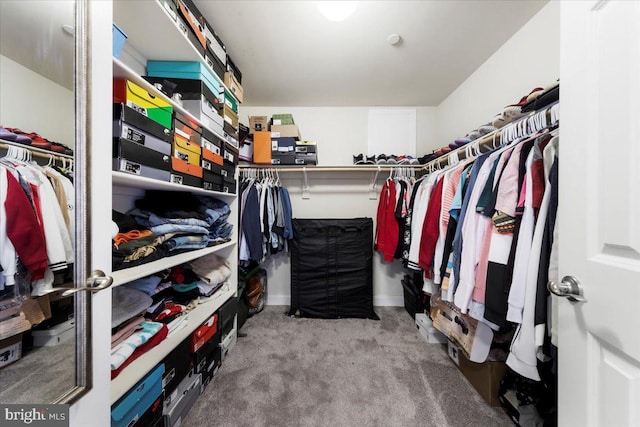 walk in closet featuring light colored carpet