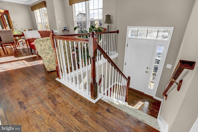 foyer featuring dark wood-type flooring