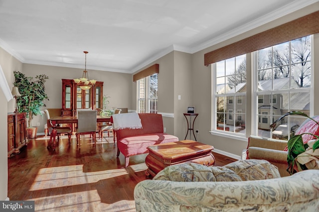 living room featuring ornamental molding and dark hardwood / wood-style flooring