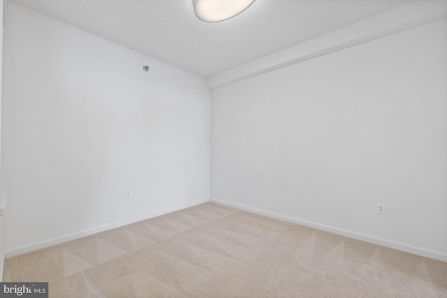 spare room featuring light carpet