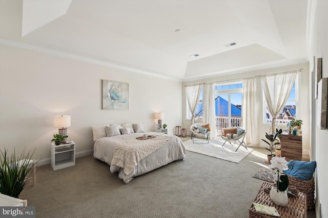 carpeted bedroom with a tray ceiling