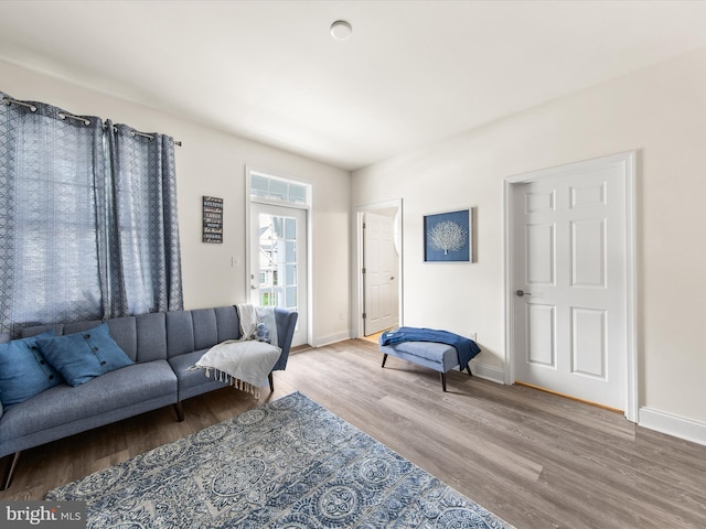 living room with hardwood / wood-style floors