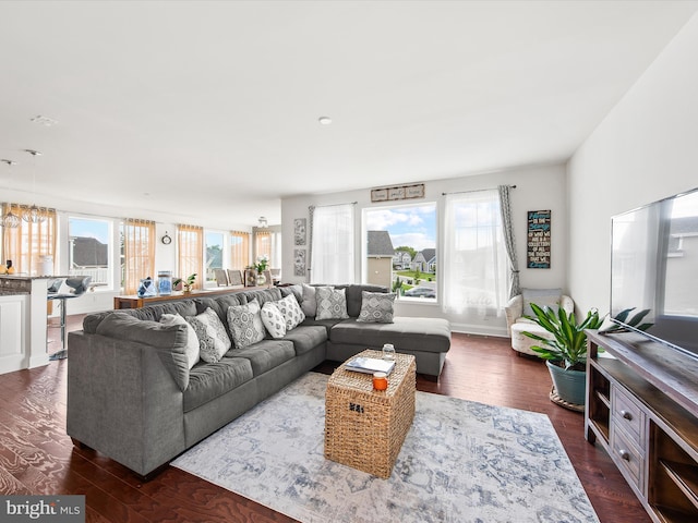 living room with a healthy amount of sunlight and dark wood-type flooring