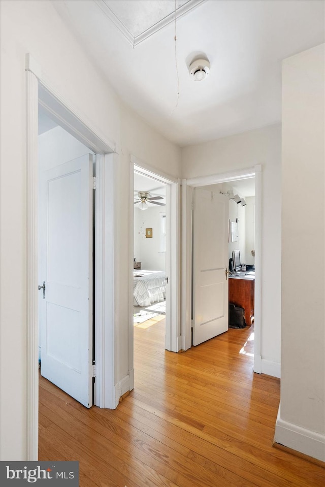 corridor featuring light hardwood / wood-style flooring