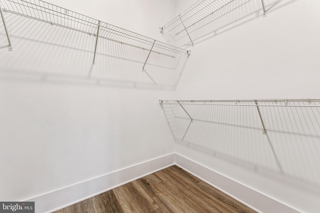 spacious closet featuring hardwood / wood-style flooring