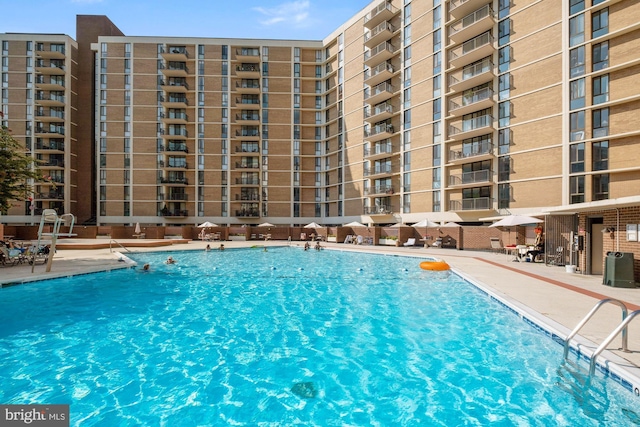 view of pool featuring a patio