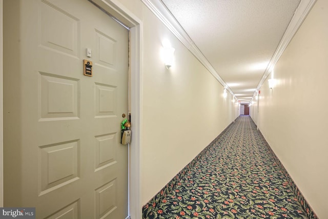 hallway featuring crown molding, carpet flooring, and a textured ceiling