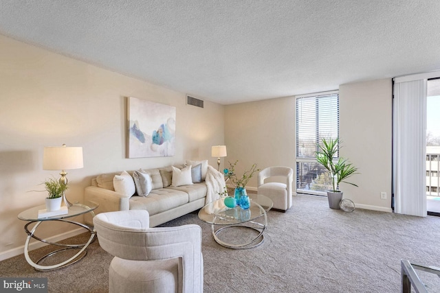 carpeted living room with a textured ceiling and a wall of windows