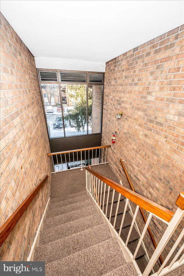 stairs featuring carpet flooring