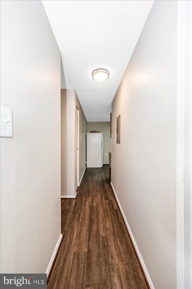 hall featuring dark wood-type flooring