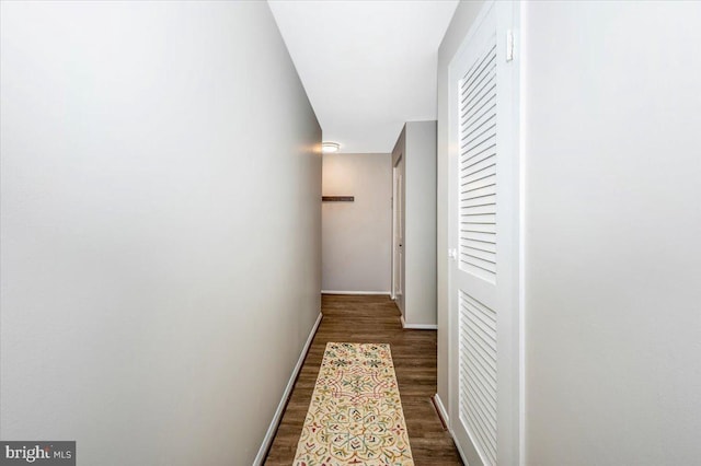 hallway featuring dark wood-type flooring