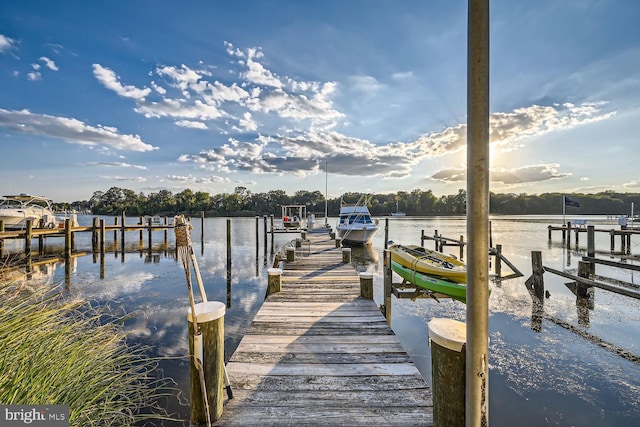 dock area with a water view