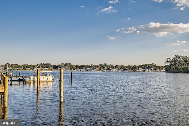 view of dock with a water view