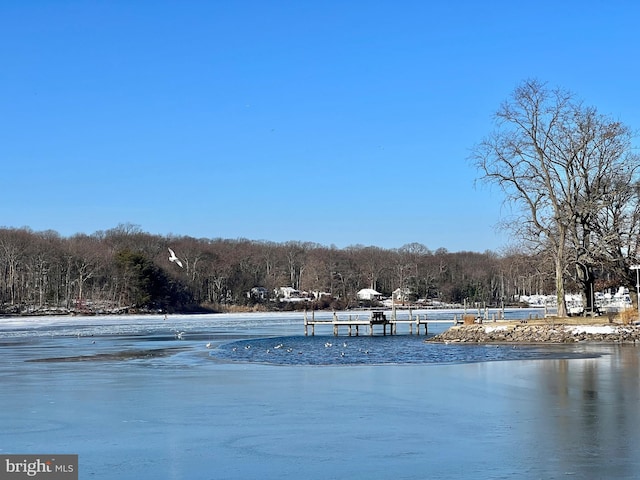 view of yard with a water view