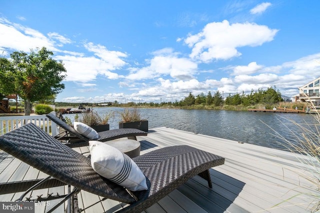 dock area with a water view