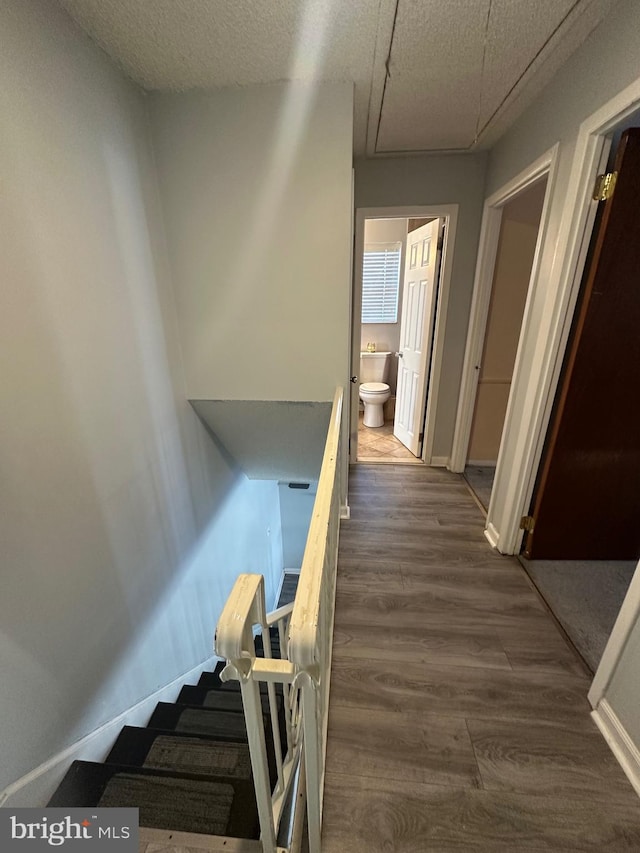 hallway featuring hardwood / wood-style flooring and a textured ceiling