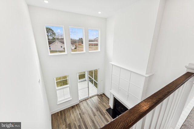 foyer entrance featuring hardwood / wood-style flooring