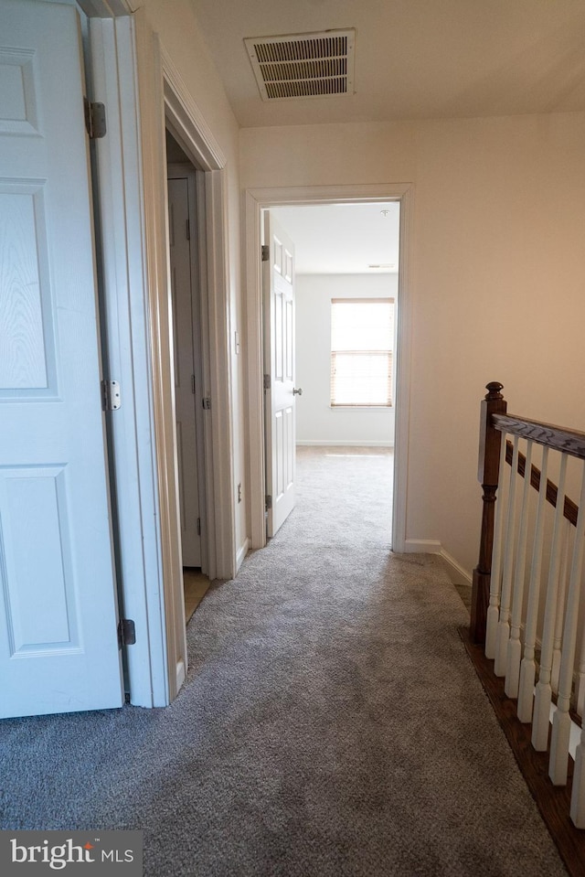 hallway with carpet flooring