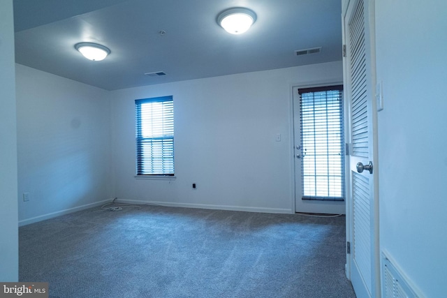 carpeted spare room with a wealth of natural light