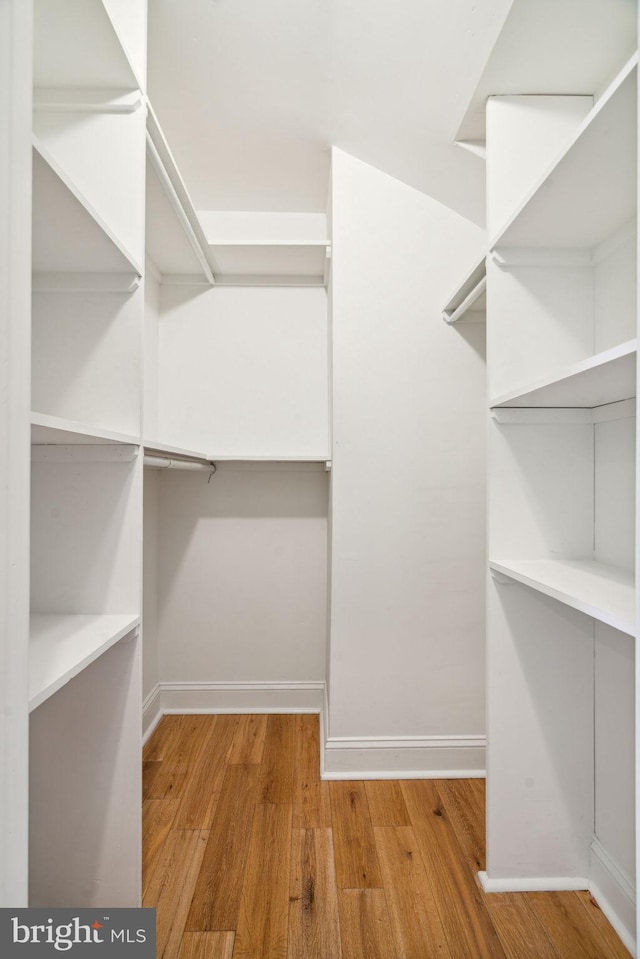 walk in closet featuring light hardwood / wood-style floors