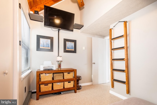 bedroom with light colored carpet